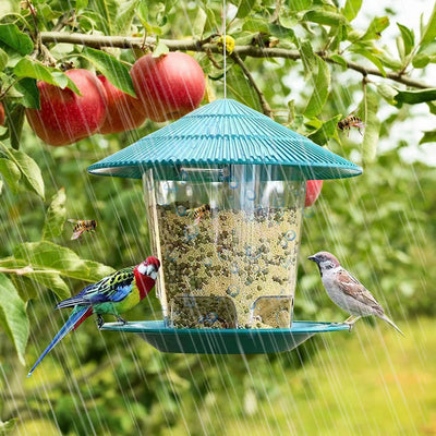 Hanging Bird Feeder with Automatic Seed Dispenser – Durable Hexagonal Design for Multi-Angle Feeding 0