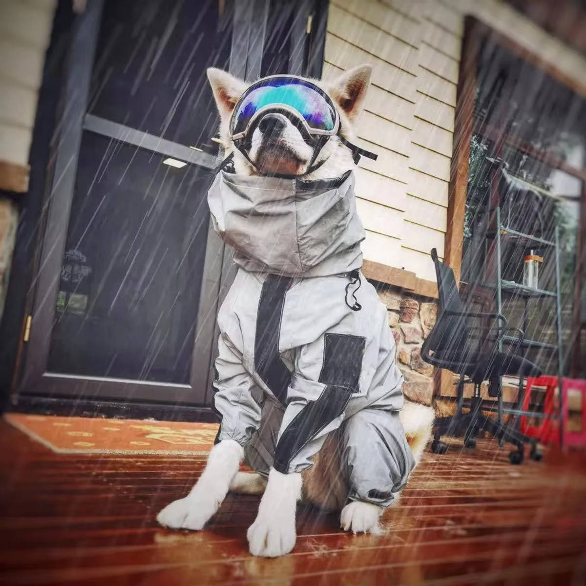 Waterproof Dog Raincoat with Adjustable Hood and Reflective Strips – Best Dog Rain Jacket for Full Body Coverage in All Weather